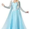 In Character Snow And Ice Princess Adult Costume 1 In Character Snow And Ice Princess Adult Costume