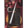 Rubies Aragorn Blister Kit - Size STD
