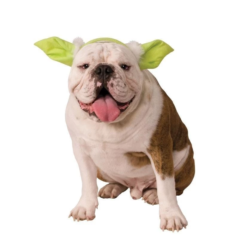 Rubies Buy Costumes Yoda Headband For Dogs 3 Rubies Buy Costumes Yoda Headband For Dogs