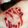 Tinsley Transfers Animal Bite Fake Realistic Wound 3D FX Transfer Halloween Makeup