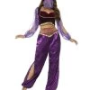 Smiffys Womens Arabian Princess Purple Costume 1 Smiffys Womens Arabian Princess Purple Costume