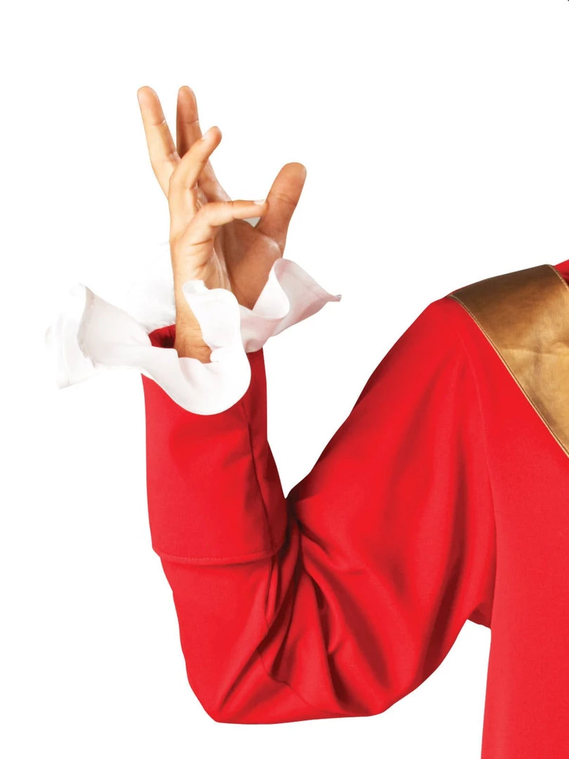 Rubie's Captain Hook Pirate Costume For Sale 5 Rubie's Captain Hook Pirate Costume For Sale