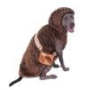 Rubies Chewbarka Dog Costume 1 Rubies Chewbarka Dog Costume