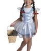 Rubies Dorothy Tutu Wizard Of Oz Girls Costume Buy Costumes