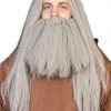 Interalia Buy Costumes Grey Wizard Wig And Beard Costume Fancy Dress Set
