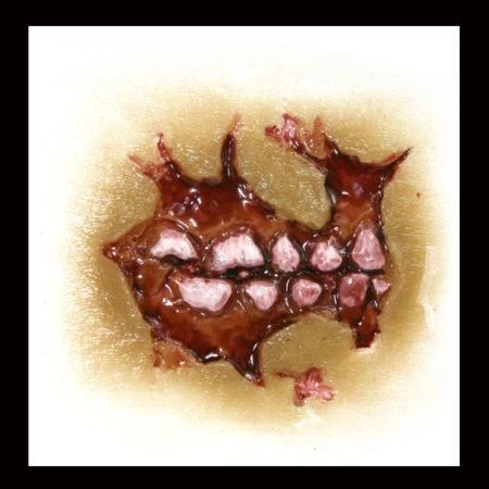 Tinsley Transfers Zombie Cheek Decay Horror Makeup Costume Halloween 3D FX Transfers 4 Tinsley Transfers Zombie Cheek Decay Horror Makeup Costume Halloween 3D FX Transfers