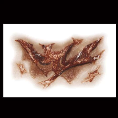 Tinsley Transfers Buy Costumes Zombie Torn Throat Scar Halloween Horror Makeup 3D FX Transfers 4 Tinsley Transfers Buy Costumes Zombie Torn Throat Scar Halloween Horror Makeup 3D FX Transfers