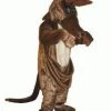Disguises Womens Kangaroo Adult Mascot Hire Costume