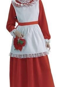 Disguises Mrs Claus Traditional Womens Costume Hire