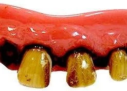Sweidas Original Billy Bob Teeth Buy Costumes
