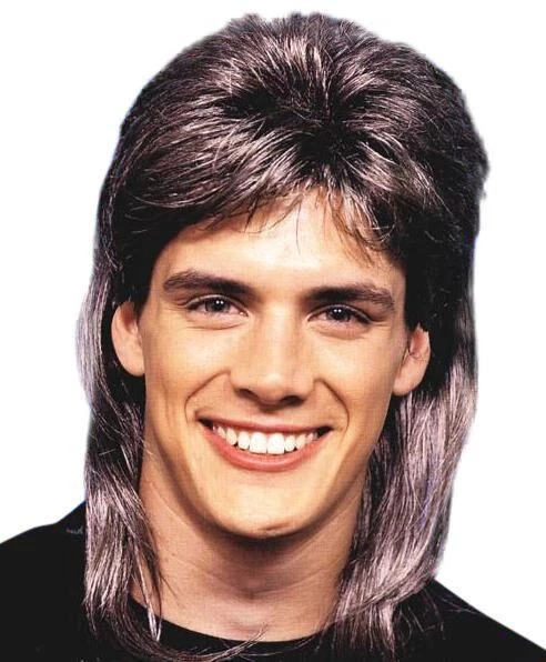 Carnival Products Mens Mullet Brown & Blonde Streaked Wig 3 Carnival Products Mens Mullet Brown & Blonde Streaked Wig
