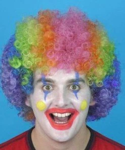 Carnival Products Clown Afro Rainbow Wig Circus Fancy Dress Accessory Womens